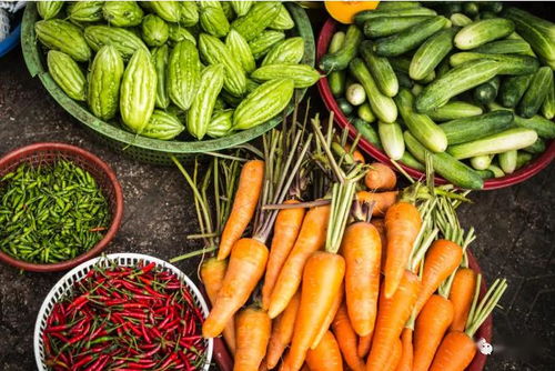 2020關鍵年 探索他國生態循環農業模式，深化食用農產品初加工發展