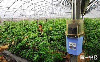 智慧農業新藍圖 福建推進生產智能化 政策紅利助力產業升級