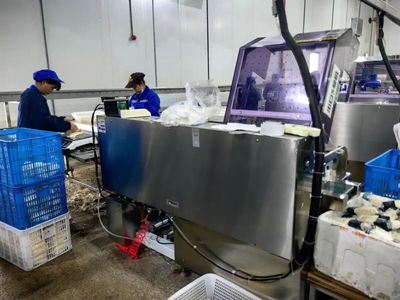 機械化助力食用菌產業化生產 為鄉村振興撐開“致富傘”